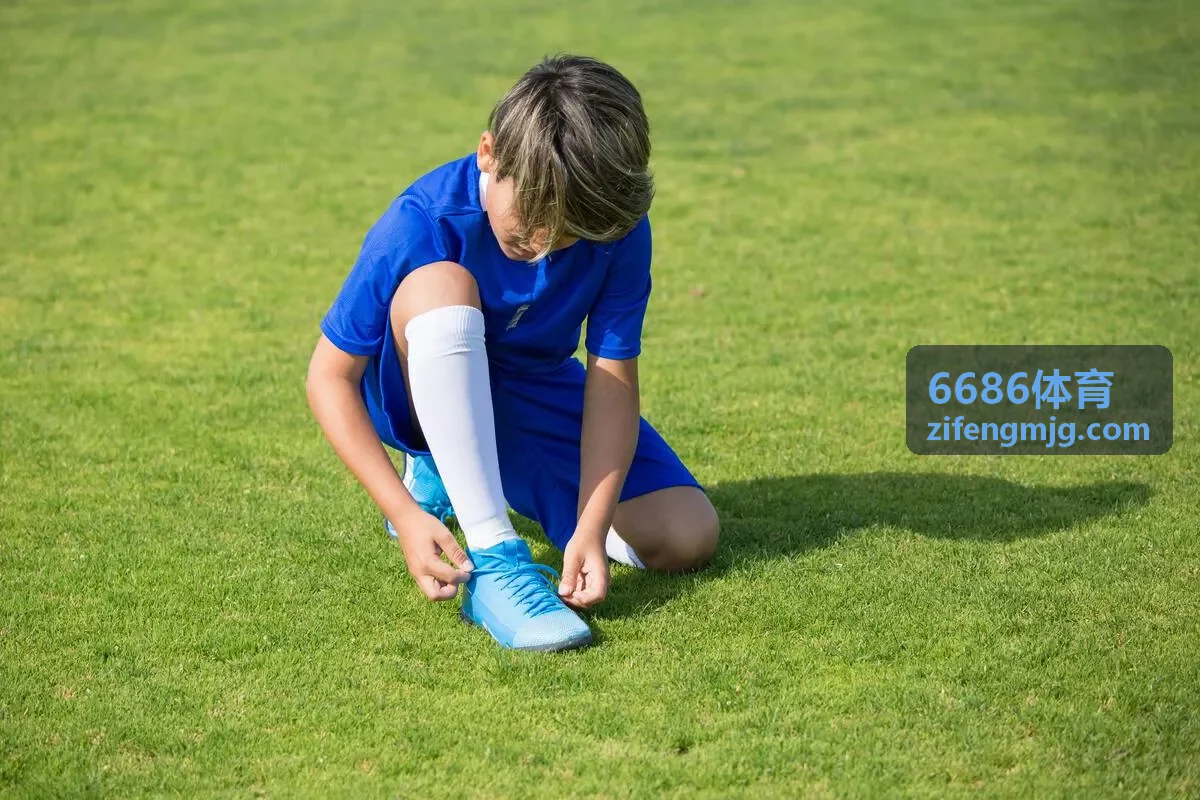 6686体育标志
